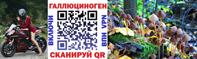 Галлюциногенные грибы Psilocybe  где найти наркотики  Петушки 